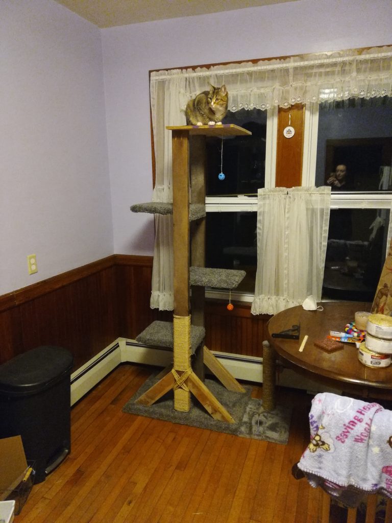 rug added to super easy DIY cat tree