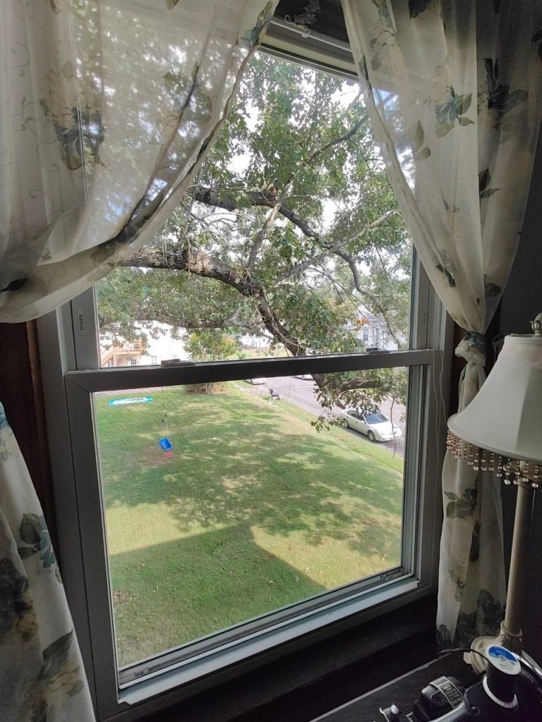 clean window thanks to white green cloth