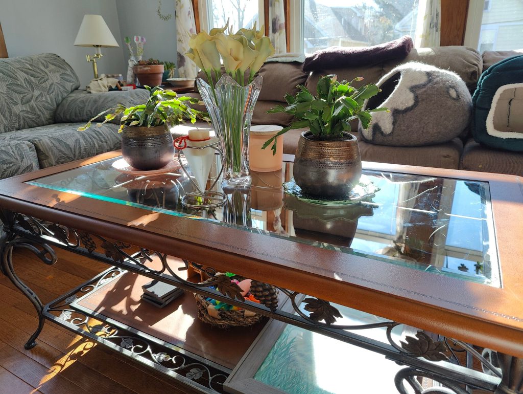 table after cleaning with white green cloth