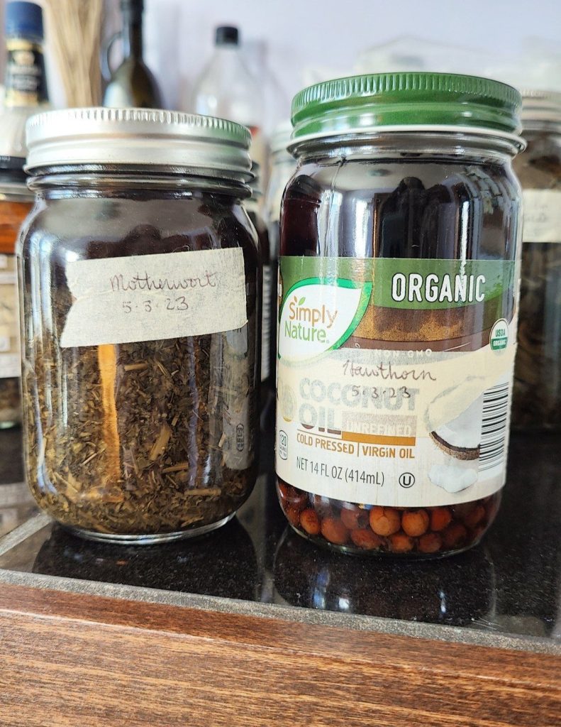 motherwort and hawthorn tinctures