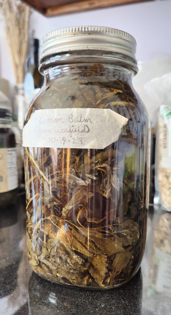 lemon balm tincture