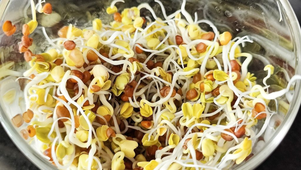 radish sprouts